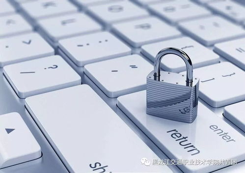 降低网络安全风险 BSA丨软件联盟在行动