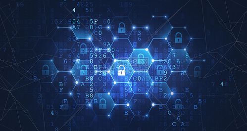 2025年入门网络空间安全 前景、路径与专精方向解析